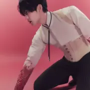 chan a c e 1352729