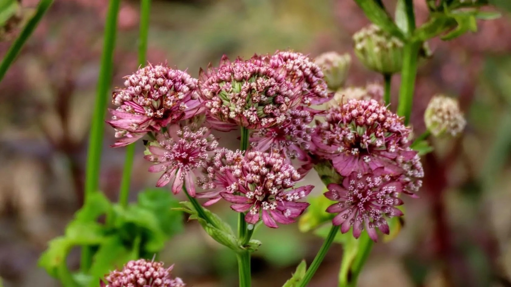 Ho-MTWFLg-E-6-Tr8-SRm-DQs8cn-Hca1i-Sy-S7d-T5-OCC-XCntib-L3-Px-XN5cb8xkj9h-BP71-Y7lf1dtc-IWp1s-I8-Jwb