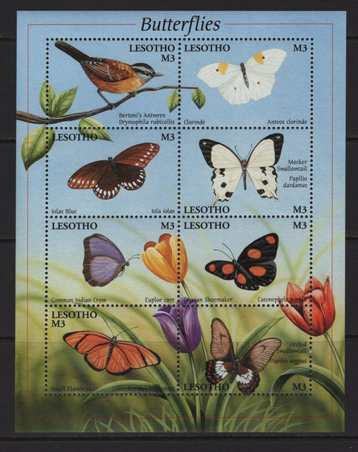 585