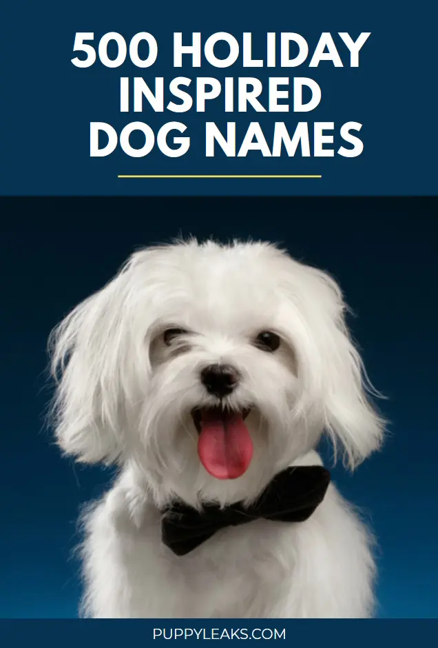 Creative Holiday-Themed Names for Your New Puppy