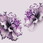 shutterstock 2669342149