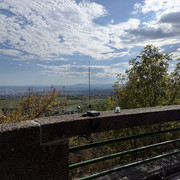 IMG 3941