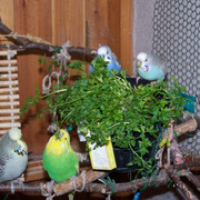 Neue-Bilder-5695
