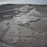DSC01001