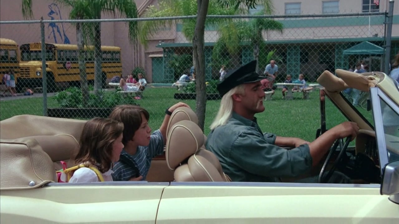 Mr. Nanny Screenshot
