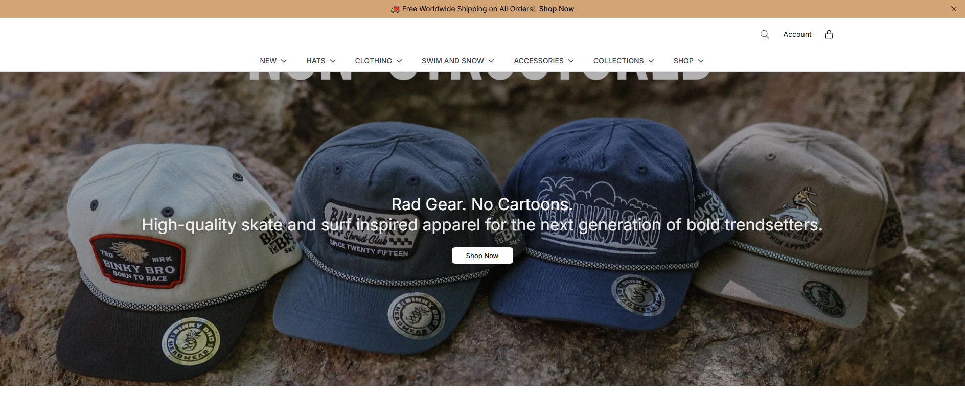 Primary capture · binkybromarket.shop