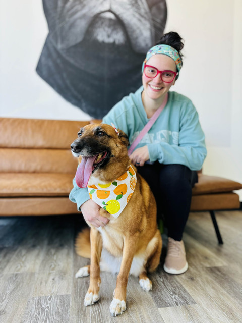Archie Pet Care Spa Gallery