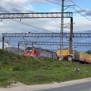 IMG 5986