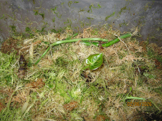IMG 6421.jpg