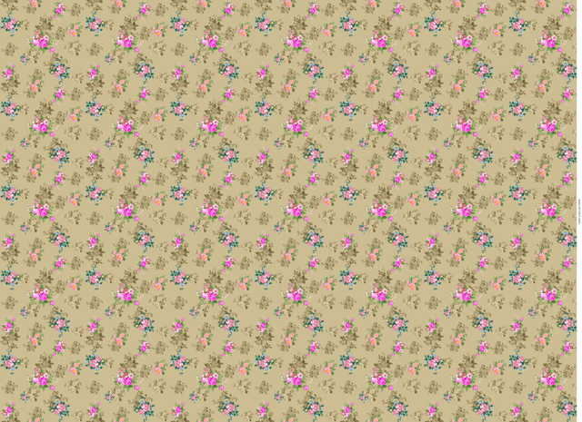 48.png