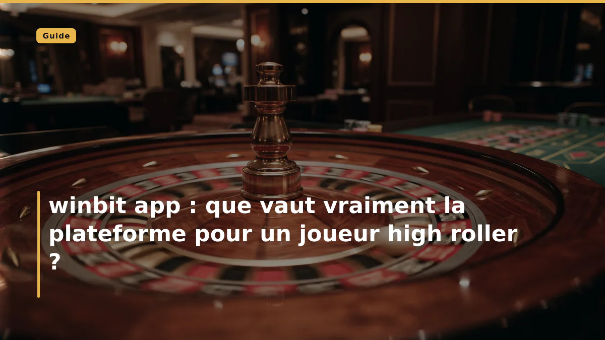 winbit app : que vaut vraiment la plateforme pour un joueur high roller ?