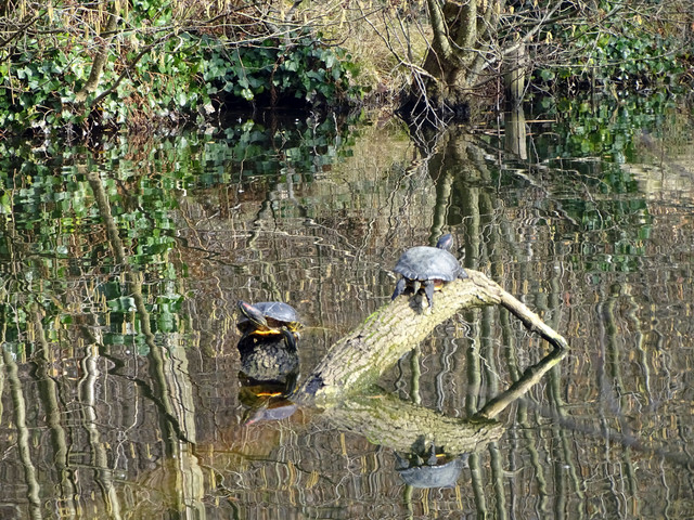 DSC07322.jpg