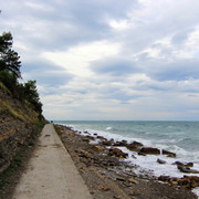 IMG-9845