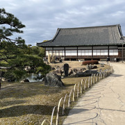 IMG-2971-1