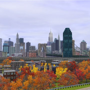 NY1