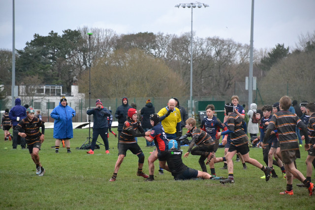 DSC 1125.jpg
