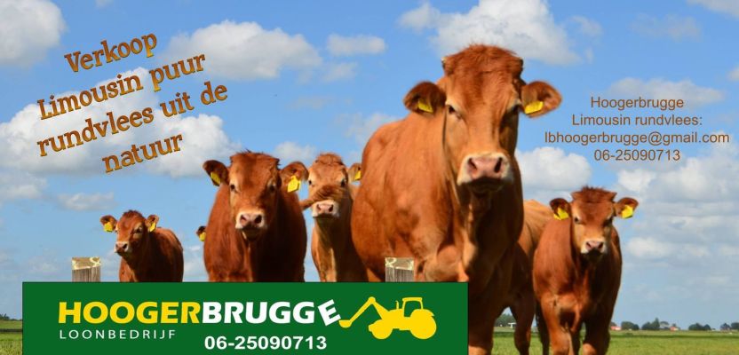 Limousin rundvlees kopen bij de boer uit Rotterdam - Lenno en Marielle-Hoogerbrugge - www.Vleeskopenbijdeboer.nl