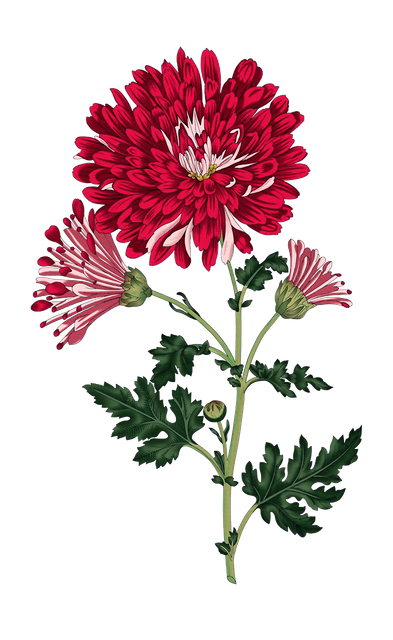 d7341c14dd5fbdf07736eaaf9b430ac0.png