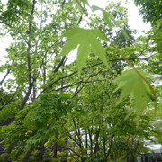 P1230879