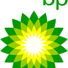 BP Owner