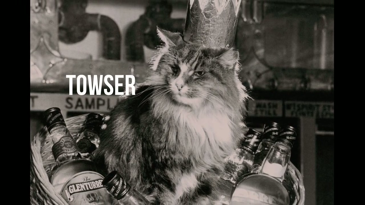 Inside the Mind of a Cat Screenshot