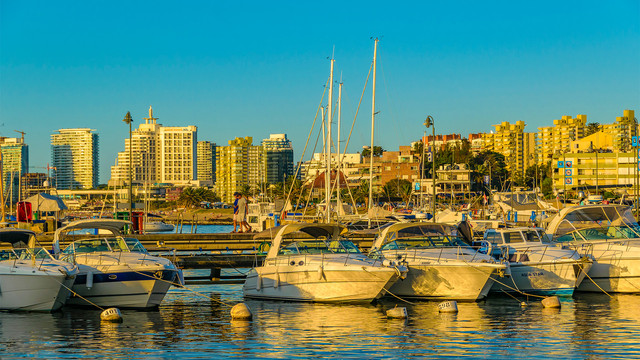 Modernos edificios y residencias frente al mar en Punta del Este que muestran la variedad de apartamentos de lujo y propiedades costeras disponibles para compradores internacionales