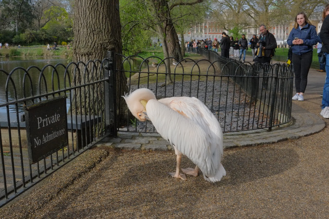 DSCF8813.jpg