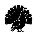 Standard Compute logo