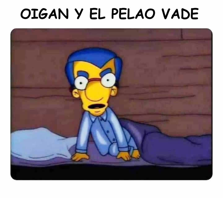 PELAO.jpg