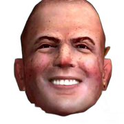 wgiconbully (7)