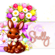 Shelly 91ºBanner