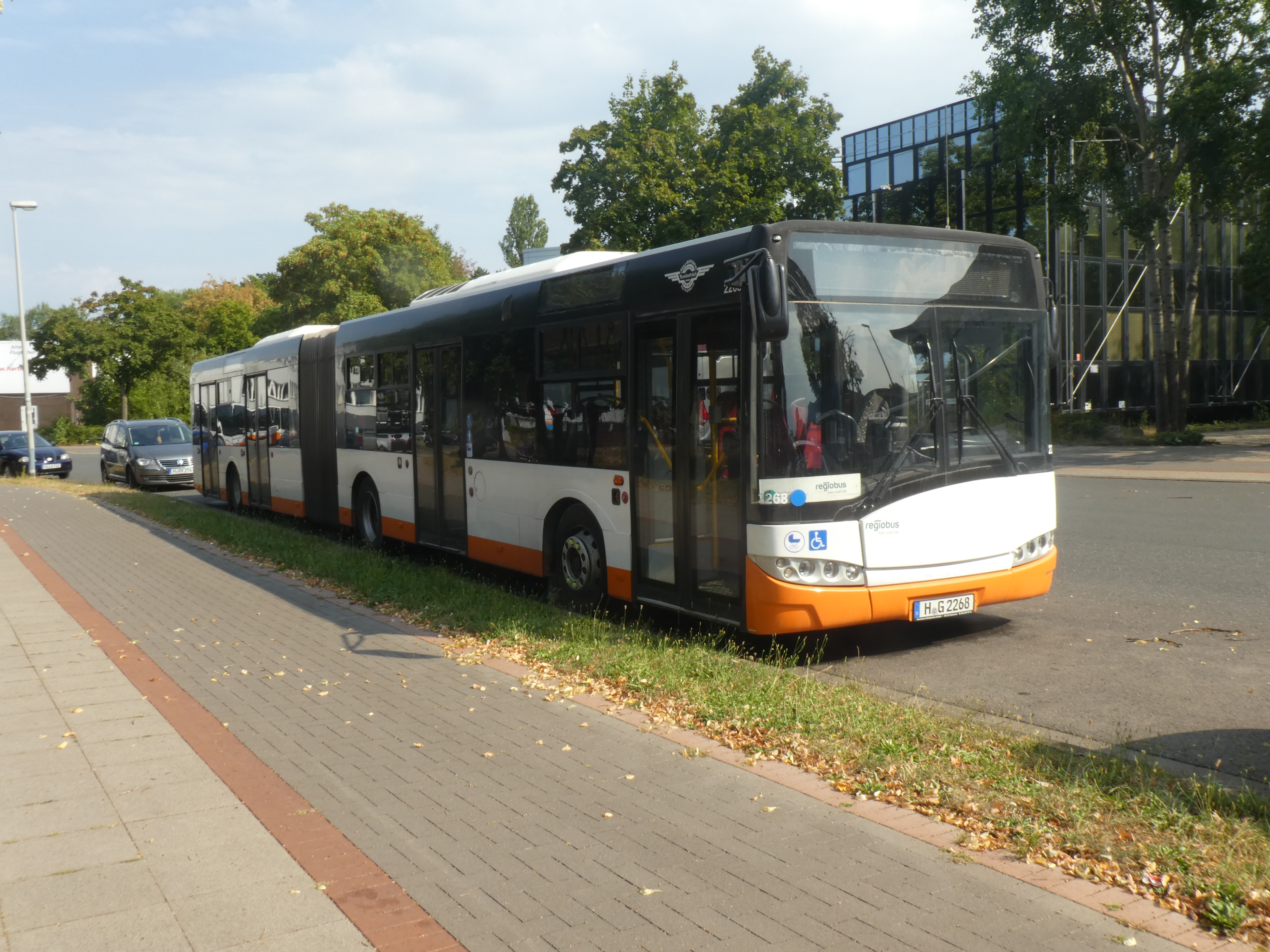 i.ibb.co/QFbm2yRK/Hartmann-2268-1.jpg