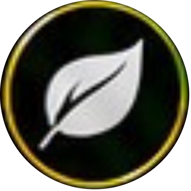 Eco Racing