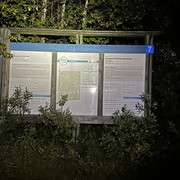IMG 5651