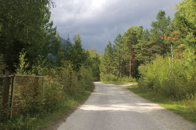 IMG 0240.jpg