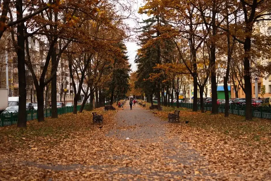 Prognoza meteo pentru București: Ce temperaturi ne așteaptă de la finalul verii până în septembrie