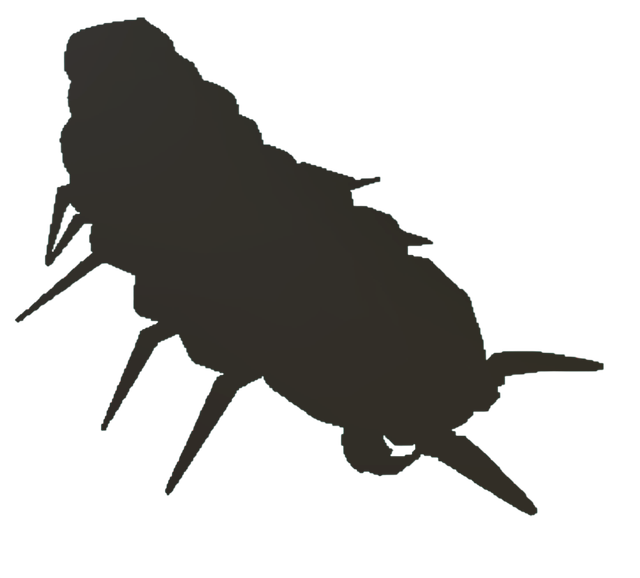 Distortipede