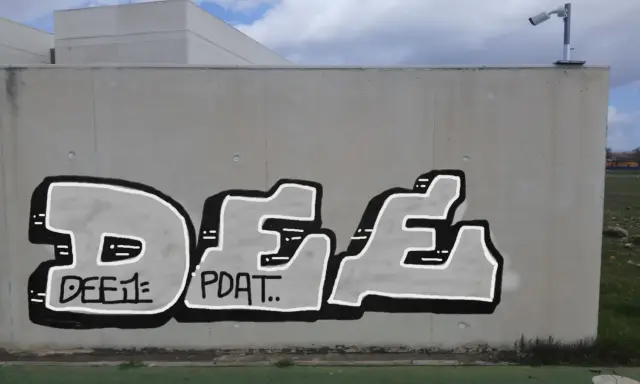Graffiti artwork by RON