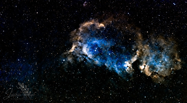 IC 1848 2