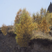 IMG_9519