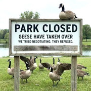 sign misc 2