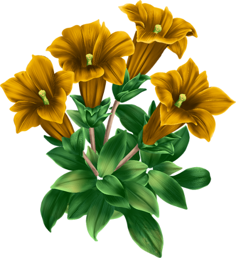 e920d87d.png