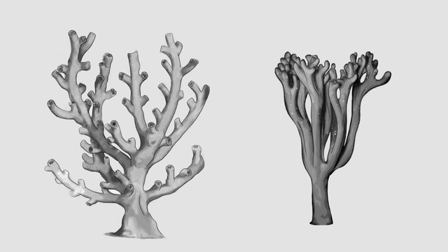 treethings2.jpg