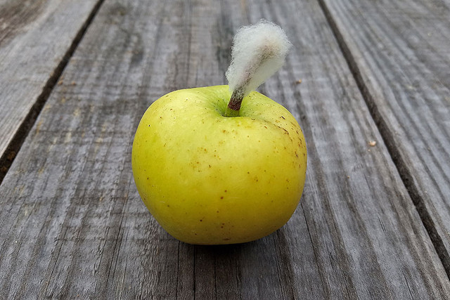 slbd-0719-apple