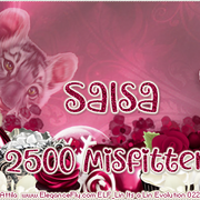 Salsa-Val22-Coupon-2500-Misfitters