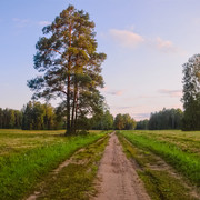 DSCF4019