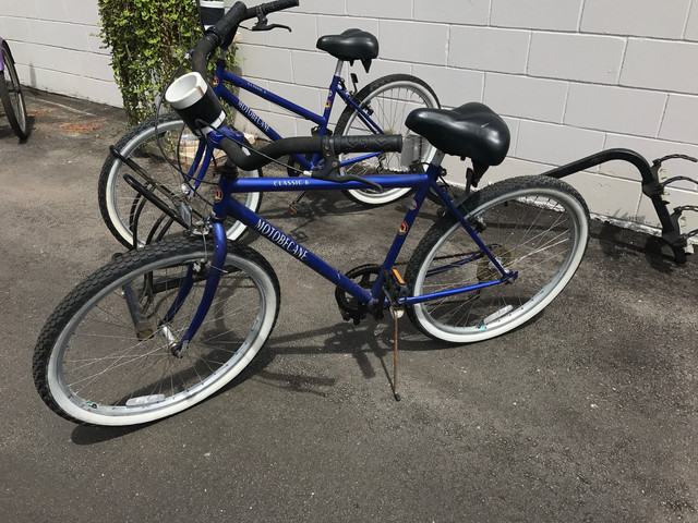IMG 0603
