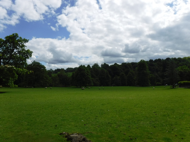 DSCF6081.jpg