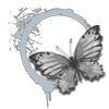 https://i.ibb.co/QHxgmGk/1.png