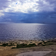 IMGP3808